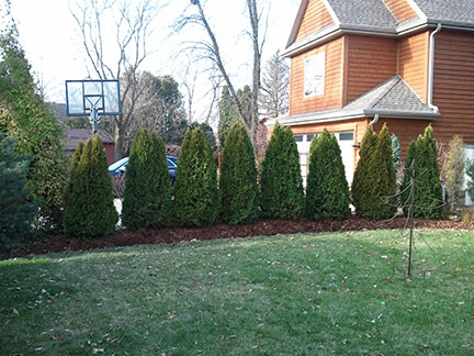 Landscaping - Lake Country Landscaping